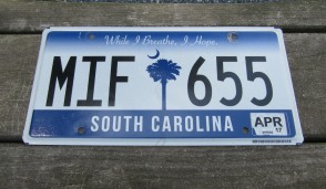 South Carolina State Official License Plate