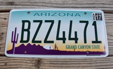 Arizona Sunset Cactus License Plate Grand Canyon State 2017 BZZ 4471