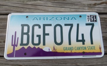 Arizona Sunset Cactus License Plate Grand Canyon State 2015 