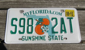 Florida Double Orange My Florida License Plate 2015 Sunshine State 