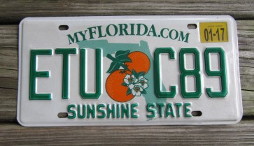 Florida Double Orange My Florida License Plate 2017 Sunshine State 
