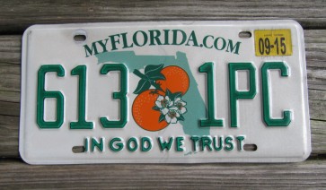 Florida Double Orange My Florida License Plate 2013 Sunshine State In God We Trust