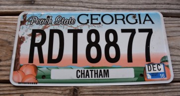 Georgia Peach State License Plate 2016