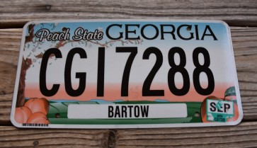 Georgia Peach State License Plate 2017