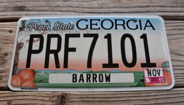 Georgia Peach State License Plate 2013