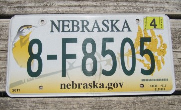 Nebraska Meadowlark License Plate Wren Bird 2017