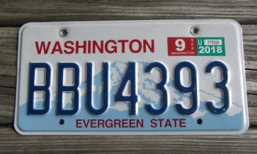 Washington Mt Rainier License Plate 2018