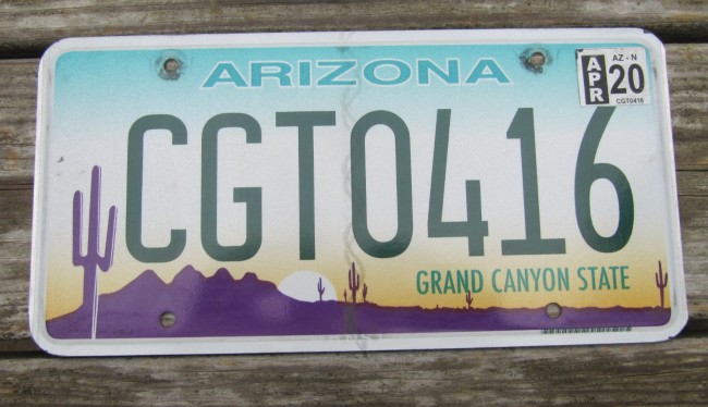 License Plate for SALE Arizona Sunset Cactus License Plate Grand Canyon