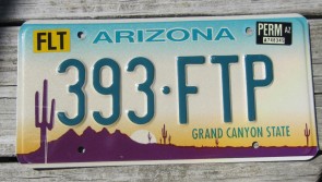 Arizona Sunset Cactus Embossed License Plate Grand Canyon State 