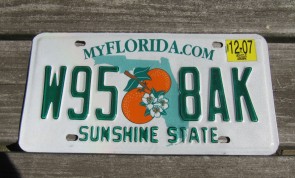 Florida Double Orange My Florida License Plate 2007 Sunshine State 