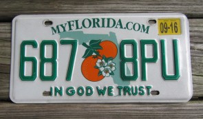 Florida Double Orange My Florida License Plate 2016 Sunshine State In God We Trust