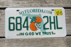 Florida Double Orange My Florida License Plate 2013 Sunshine State In God We Trust