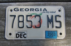 Georgia Motorcycle License Plate On My Mind Peach 2003