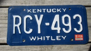Kentucky Blue White License Plate 1988