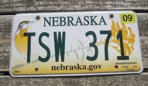 Nebraska Meadowlark License Plate Wren Bird 2017