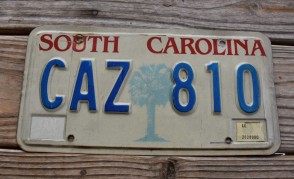 South Carolina Palm Tree License Plate 1987