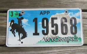 Wyoming Devils Tower Apportioned Truck License Plate 2009