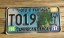 American Samoa Islands Taxi License Plate United States