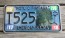 American Samoa Islands Taxi License Plate United States