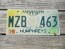 Mississippi Large Yellow Magnolia License Plate 2000