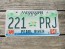 Mississippi Green Magnolia License Plate 2004