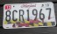 Maryland Pride License Plate Flag 2018