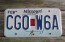Missouri Blue Bird License Plate 2017 Show Me State 