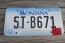 Montana Big Sky License Plate 2001 5TB647