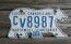 Canada North West Territories Polar Bear License Plate 1995