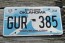Oklahoma White Scissor tail Bird License Plate Travel OK 2018