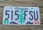 Oregon Tree and Mountains License Plate 2016