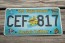 US Virgin Islands America's Caribbean License Plate Tropical Fish 
