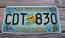 US Virgin Islands America's Caribbean License Plate Tropical Fish 