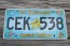 US Virgin Islands America's Caribbean License Plate Tropical Fish 